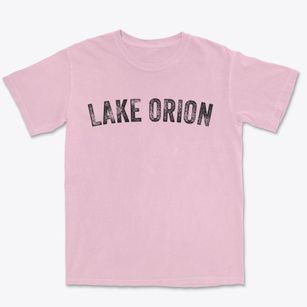 Lake Orion Michigan Timeless Retro Premium Heavyweight T-shirt