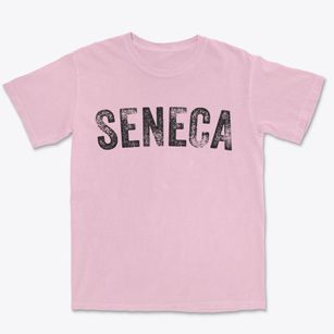 Seneca Missouri Timeless Retro Premium Heavyweight T-shirt
