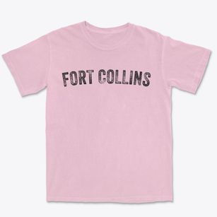 Fort Collins Colorado Timeless Retro Premium Heavyweight T-shirt