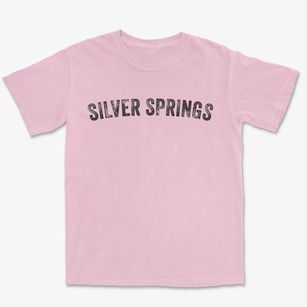Silver Springs New York Timeless Retro Premium Heavyweight T-shirt