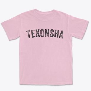 Tekonsha Michigan Timeless Retro Premium Heavyweight T-shirt
