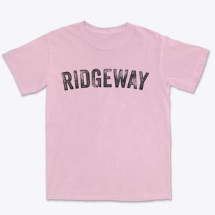 Ridgeway Missouri Timeless Retro Premium Heavyweight T-shirt