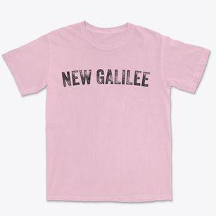 New Galilee Pennsylvania Timeless Retro Premium Heavyweight T-shirt