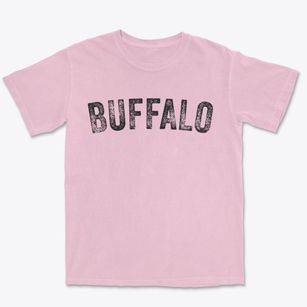 Buffalo North Dakota Timeless Retro Premium Heavyweight T-shirt