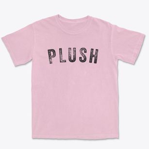 Plush Oregon Timeless Retro Premium Heavyweight T-shirt