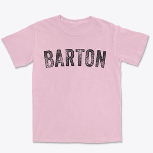 Barton North Dakota Timeless Retro Premium Heavyweight T-shirt