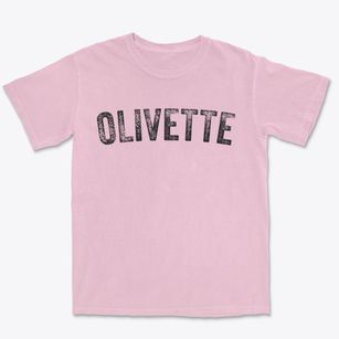 Olivette Missouri Timeless Retro Premium Heavyweight T-shirt