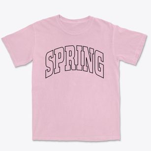 Spring Texas Trendy Block Premium Heavyweight T-shirt
