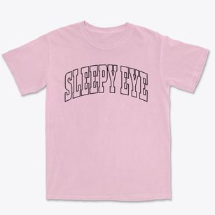 Sleepy Eye Minnesota Trendy Block Premium Heavyweight T-shirt
