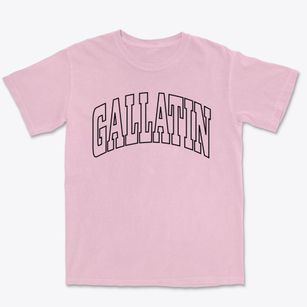 Gallatin New York Trendy Block Premium Heavyweight T-shirt