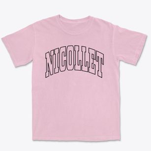 Nicollet Minnesota Trendy Block Premium Heavyweight T-shirt
