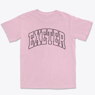 Exeter New York Trendy Block Premium Heavyweight T-shirt