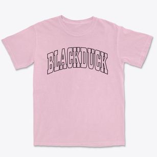 Blackduck Minnesota Trendy Block Premium Heavyweight T-shirt