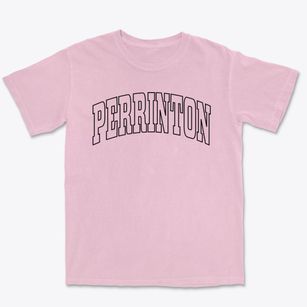 Perrinton Michigan Trendy Block Premium Heavyweight T-shirt