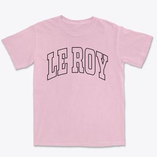 Le Roy Michigan Trendy Block Premium Heavyweight T-shirt