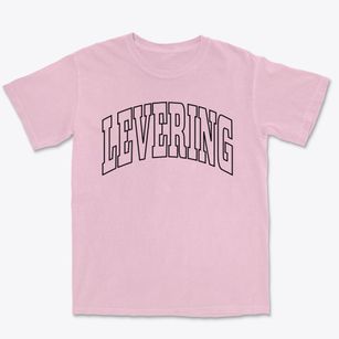 Levering Michigan Trendy Block Premium Heavyweight T-shirt