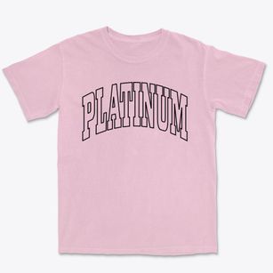 Platinum Alaska Trendy Block Premium Heavyweight T-shirt