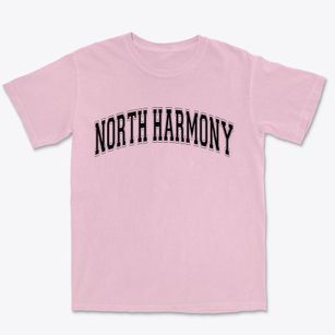 North Harmony New York Varsity Premium Heavyweight T-shirt