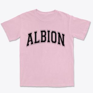 Albion Maine Varsity Premium Heavyweight T-shirt