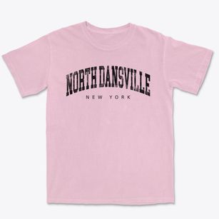 North Dansville New York Urban Vibe Premium Heavyweight T-shirt