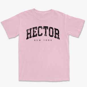 Hector New York Urban Vibe Premium Heavyweight T-shirt