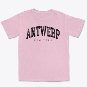 Antwerp New York Urban Vibe Premium Heavyweight T-shirt