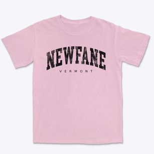 Newfane Vermont Urban Vibe Premium Heavyweight T-shirt