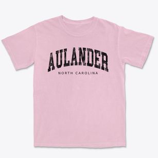 Aulander North Carolina Urban Vibe Premium Heavyweight T-shirt
