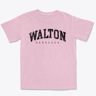 Walton Nebraska Urban Vibe Premium Heavyweight T-shirt