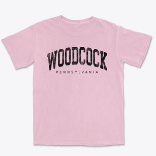 Woodcock Pennsylvania Urban Vibe Premium Heavyweight T-shirt