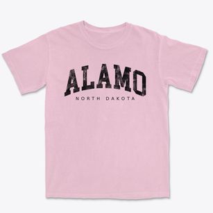 Alamo North Dakota Urban Vibe Premium Heavyweight T-shirt