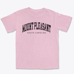 Mount Pleasant South Carolina Urban Vibe Premium Heavyweight T-shirt