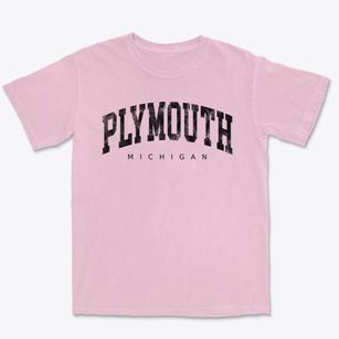 Plymouth Michigan Urban Vibe Premium Heavyweight T-shirt