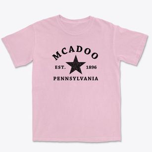 Mcadoo Pennsylvania Star Premium Heavyweight T-shirt
