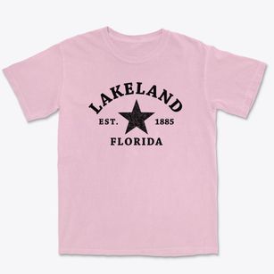 Lakeland Florida Star Premium Heavyweight T-shirt