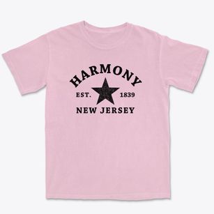 Harmony New Jersey Star Premium Heavyweight T-shirt