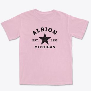 Albion Michigan Star Premium Heavyweight T-shirt