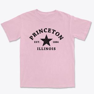 Princeton Illinois Star Premium Heavyweight T-shirt