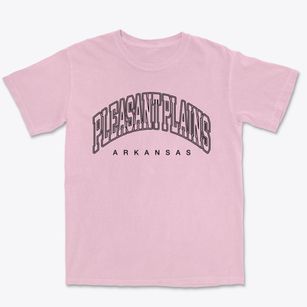 Pleasant Plains Arkansas Inline Premium Heavyweight T-shirt