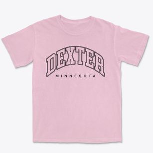 Dexter Minnesota Inline Premium Heavyweight T-shirt