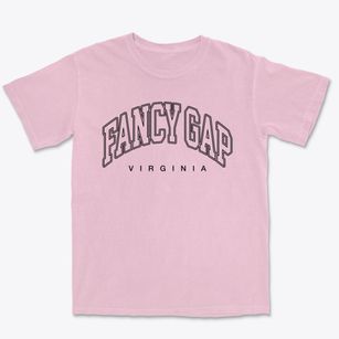 Fancy Gap Virginia Inline Premium Heavyweight T-shirt