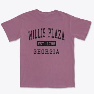 Willis Plaza Georgia Classic Established Premium Heavyweight T-shirt