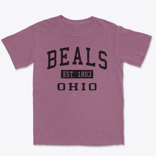 Beals Ohio Classic Established Premium Heavyweight T-shirt