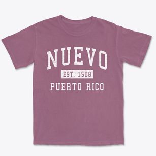 Nuevo Puerto Rico Classic Established Premium Heavyweight T-shirt