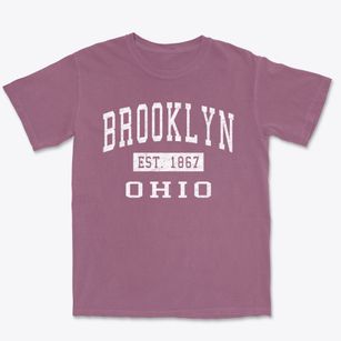 Brooklyn Ohio Classic Established Premium Heavyweight T-shirt