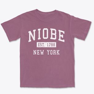 Niobe New York Classic Established Premium Heavyweight T-shirt