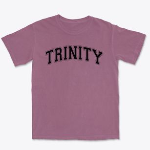 Trinity Lutheran School Varsity Arch Premium Heavyweight T-shirt