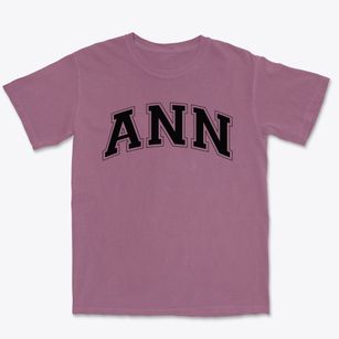Ann Elementary School Varsity Arch Premium Heavyweight T-shirt