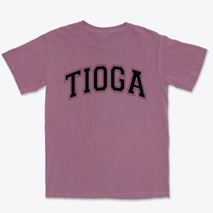 Tioga Elementary School Varsity Arch Premium Heavyweight T-shirt