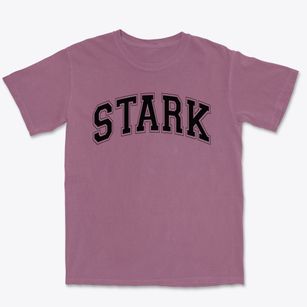 Stark School Of Technology Varsity Arch Premium Heavyweight T-shirt